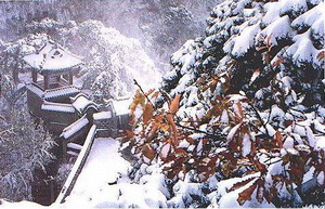 千山龙泉寺(图1)