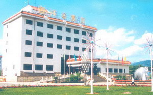 西洋集团(图1)