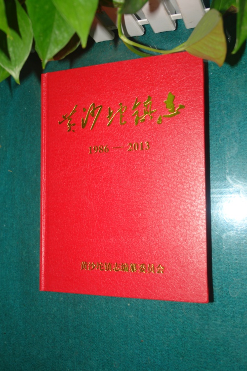 台安县《黄沙坨镇志（1986—2013）》编纂出版(图1)
